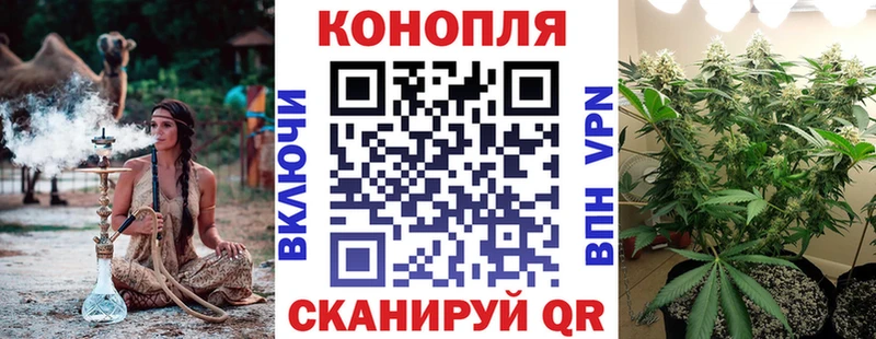 Где купить наркотики Шатура Марихуана  Меф  Alpha-PVP  ГАШ 