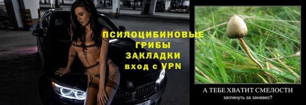 прущие крисы Богородск