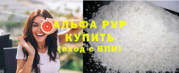 дживик Белокуриха