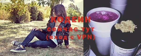 гашиш Богданович