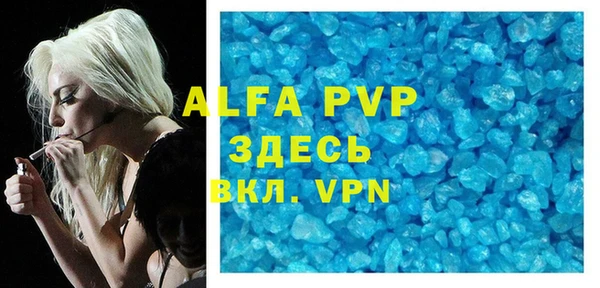 дживик Белокуриха
