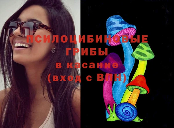 гашиш Богданович