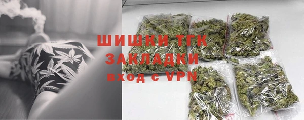 гашиш Богданович